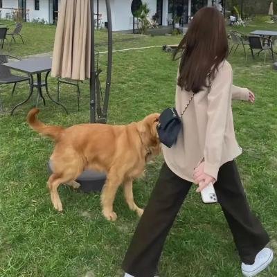 你无法拯救你自己